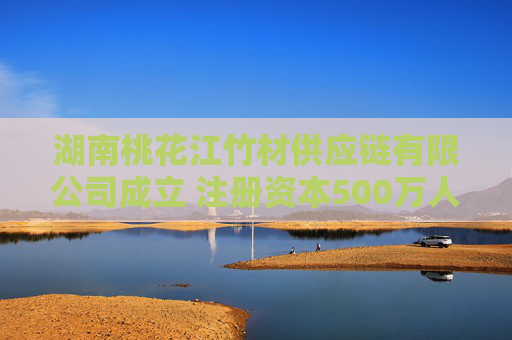 湖南桃花江竹材供应链有限公司成立 注册资本500万人民币