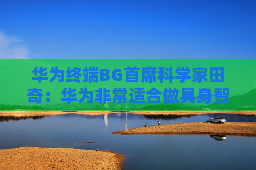 华为终端BG首席科学家田奇：华为非常适合做具身智能
