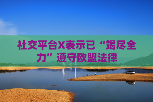 社交平台X表示已“竭尽全力”遵守欧盟法律