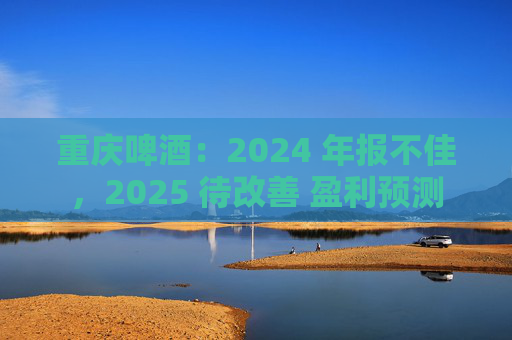 重庆啤酒：2024 年报不佳，2025 待改善 盈利预测