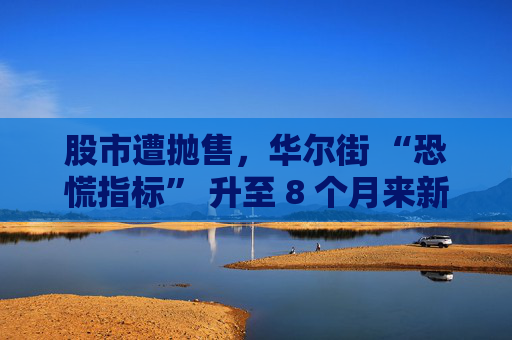 股市遭抛售，华尔街 “恐慌指标” 升至 8 个月来新高