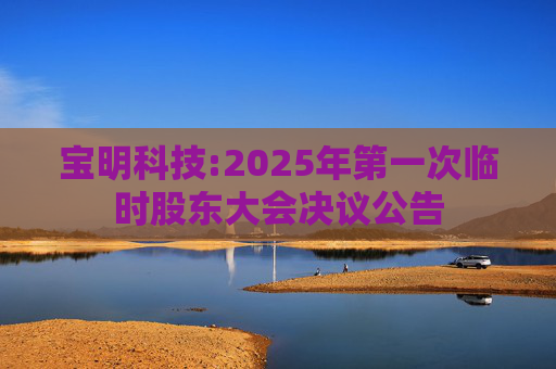 宝明科技:2025年第一次临时股东大会决议公告