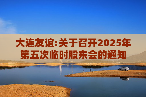 大连友谊:关于召开2025年第五次临时股东会的通知