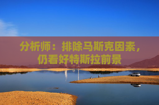 分析师：排除马斯克因素，仍看好特斯拉前景  第1张