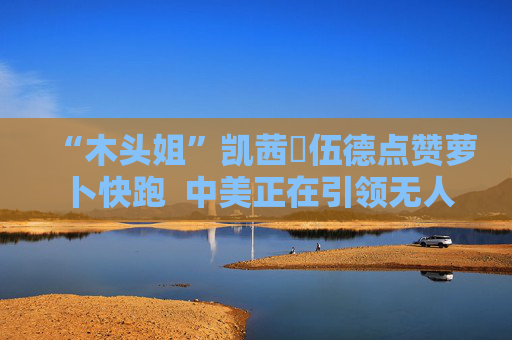 “木头姐”凯茜・伍德点赞萝卜快跑  中美正在引领无人驾驶的发展潮流