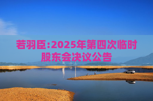 若羽臣:2025年第四次临时股东会决议公告