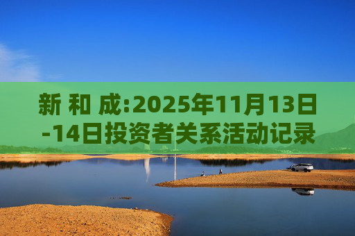 新 和 成:2025年11月13日-14日投资者关系活动记录表
