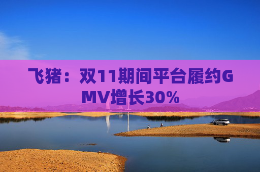 飞猪：双11期间平台履约GMV增长30%