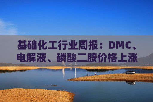 基础化工行业周报：DMC、电解液、磷酸二胺价格上涨 关注反内卷和铬盐