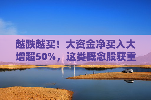 越跌越买！大资金净买入大增超50%，这类概念股获重点关注