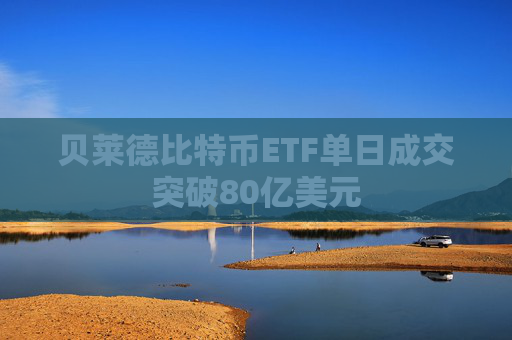 贝莱德比特币ETF单日成交突破80亿美元