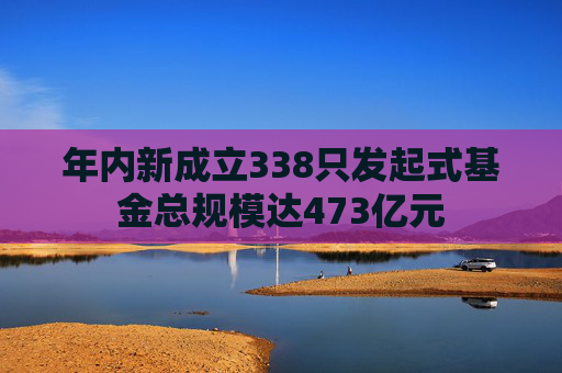 年内新成立338只发起式基金总规模达473亿元  第1张