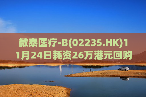 微泰医疗-B(02235.HK)11月24日耗资26万港元回购3.9万股  第1张