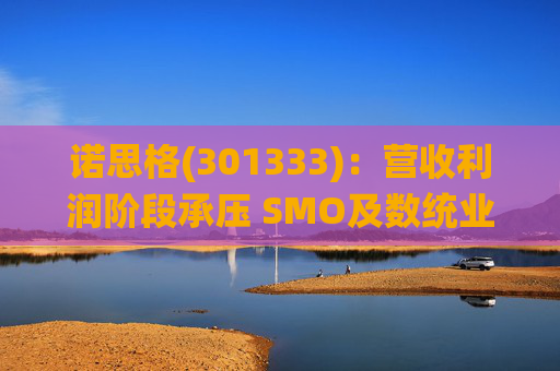 诺思格(301333)：营收利润阶段承压 SMO及数统业务保持稳健增长