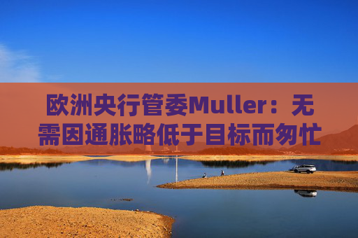 欧洲央行管委Muller：无需因通胀略低于目标而匆忙降息