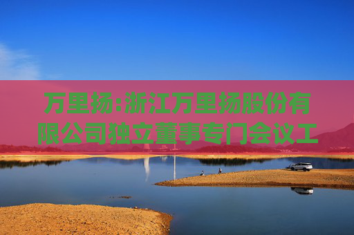 万里扬:浙江万里扬股份有限公司独立董事专门会议工作制度(2025年11月修订)