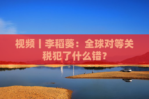 视频丨李稻葵：全球对等关税犯了什么错？  第1张