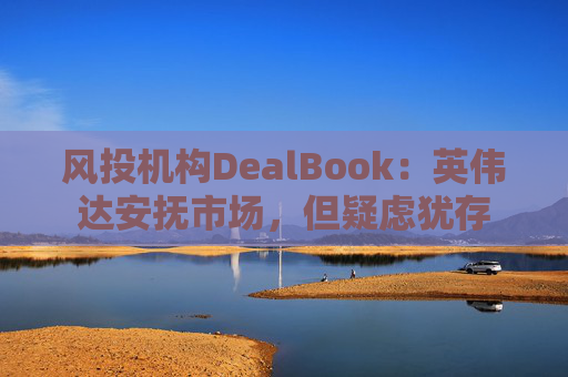 风投机构DealBook：英伟达安抚市场，但疑虑犹存