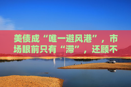 美债成“唯一避风港”，市场眼前只有“滞”，还顾不上“胀”  第1张
