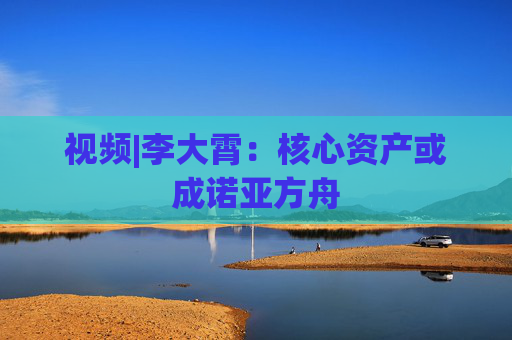视频|李大霄：核心资产或成诺亚方舟