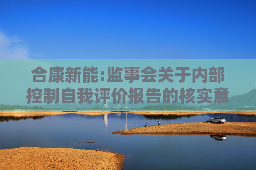 合康新能:监事会关于内部控制自我评价报告的核实意见  第1张