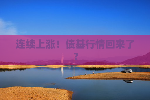 连续上涨！债基行情回来了？