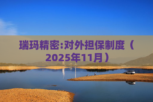 瑞玛精密:对外担保制度（2025年11月）