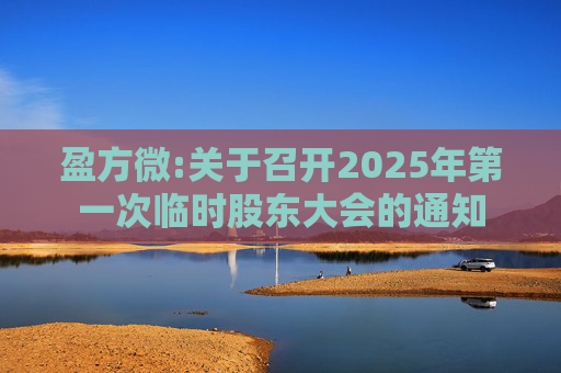 盈方微:关于召开2025年第一次临时股东大会的通知