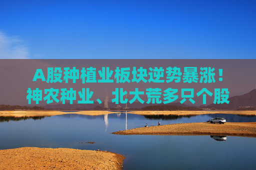 A股种植业板块逆势暴涨！神农种业、北大荒多只个股涨停，后市怎么走？