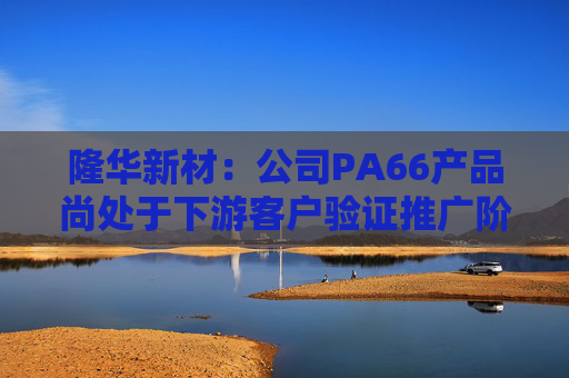 隆华新材：公司PA66产品尚处于下游客户验证推广阶段