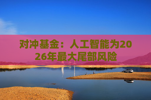 对冲基金：人工智能为2026年最大尾部风险