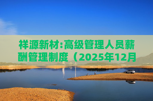 祥源新材:高级管理人员薪酬管理制度（2025年12月）  第1张