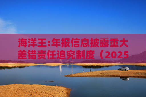 海洋王:年报信息披露重大差错责任追究制度（2025年12月）