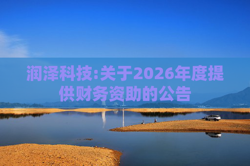 润泽科技:关于2026年度提供财务资助的公告