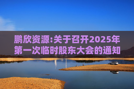 鹏欣资源:关于召开2025年第一次临时股东大会的通知