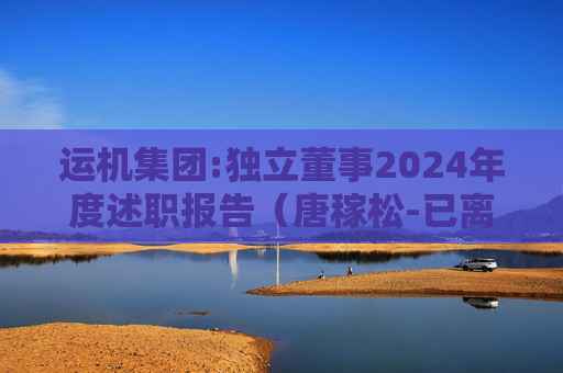 运机集团:独立董事2024年度述职报告（唐稼松-已离任）
