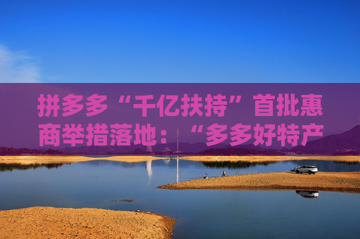 拼多多“千亿扶持”首批惠商举措落地：“多多好特产”等专项启动