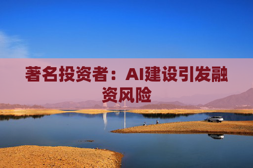 著名投资者：AI建设引发融资风险