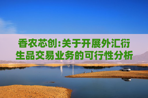 香农芯创:关于开展外汇衍生品交易业务的可行性分析报告  第1张