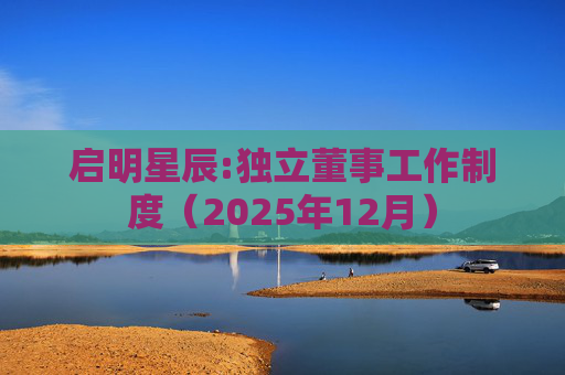 启明星辰:独立董事工作制度（2025年12月）