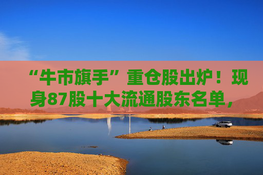 “牛市旗手”重仓股出炉！现身87股十大流通股东名单，新进46股  第1张