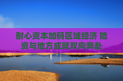 耐心资本加码区域经济 险资与地方成就双向奔赴
