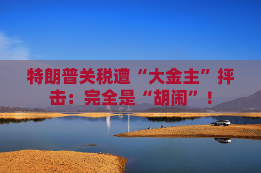 特朗普关税遭“大金主”抨击：完全是“胡闹”！  第1张