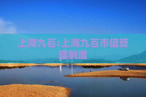 上海九百:上海九百市值管理制度