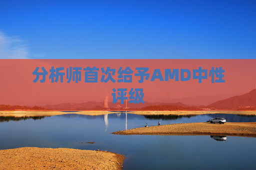 分析师首次给予AMD中性评级