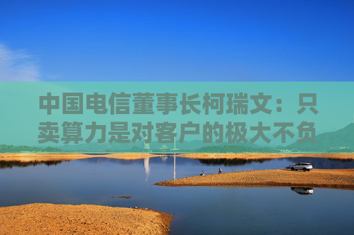 中国电信董事长柯瑞文：只卖算力是对客户的极大不负责