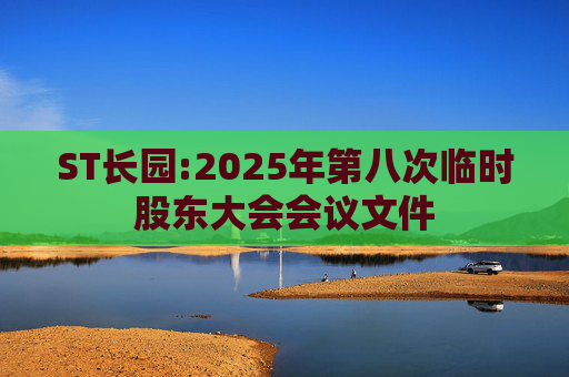 ST长园:2025年第八次临时股东大会会议文件