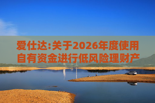 爱仕达:关于2026年度使用自有资金进行低风险理财产品投资的公告