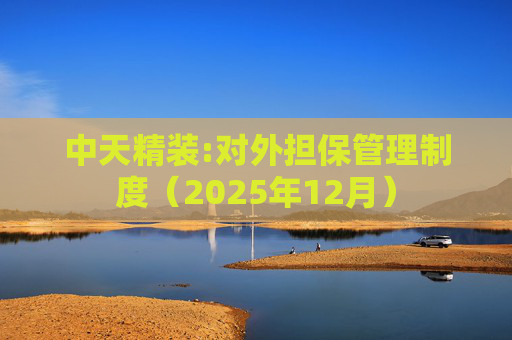 中天精装:对外担保管理制度（2025年12月）