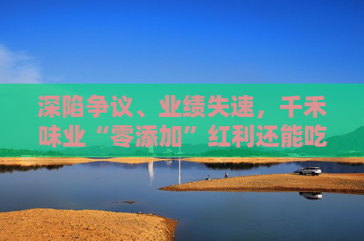 深陷争议、业绩失速，千禾味业“零添加”红利还能吃多久